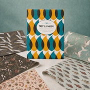 That's a Wrap: Novelty Gift Wrap Experience
